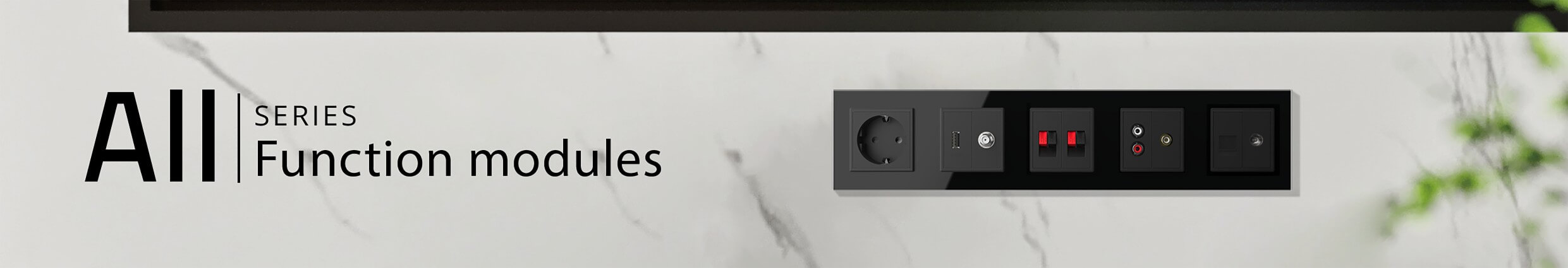 Function Modules