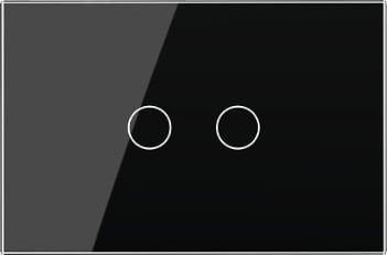 2 Gang Panel